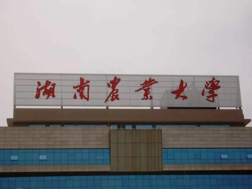湖南農大樓頂發光字
